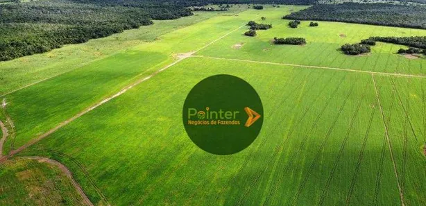 Fazenda / Sítio / Chácara à venda, 7000000m² no Parque Residencial Nova Fronteira, Gurupi