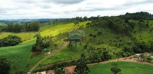 Fazenda / Sítio / Chácara à venda, 33200m² no , Guaraniaçu