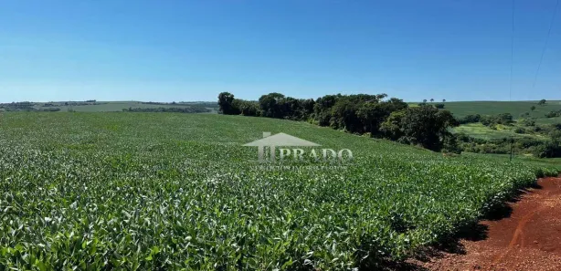 Fazenda / Sítio / Chácara à venda, 188518m² no Seção Timbori, Uraí