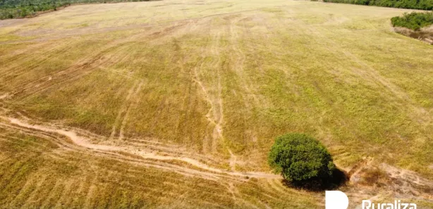 Fazenda / Sítio / Chácara à venda, 348m² no Setor Central, Divinópolis do Tocantins