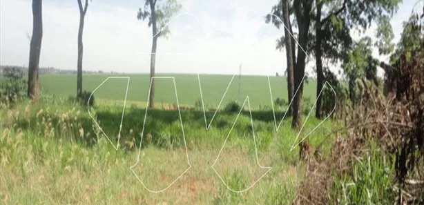 Terreno / Lote / Condomínio para alugar, 1m² no Estrela e Kanashiro, Araraquara