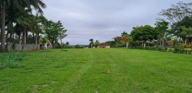 Terreno / Lote / Condomínio à venda, 1250m² no , Sertaneja