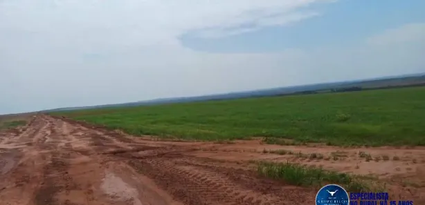 Terreno / Lote / Condomínio à venda, 192m² no Setor Central, Ponte Alta do Tocantins