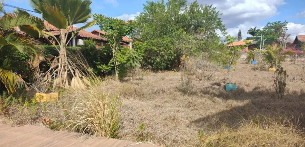 Fazenda / Sítio / Chácara com 3 Quartos à venda, 3000m² no Cruzeiro, Gravatá