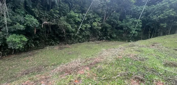 Terreno / Lote / Condomínio à venda, 11000m² no Vargem Grande, Águas Mornas