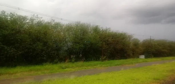Terreno / Lote / Condomínio para venda ou aluguel, 5000m² no Centro, Ibaté