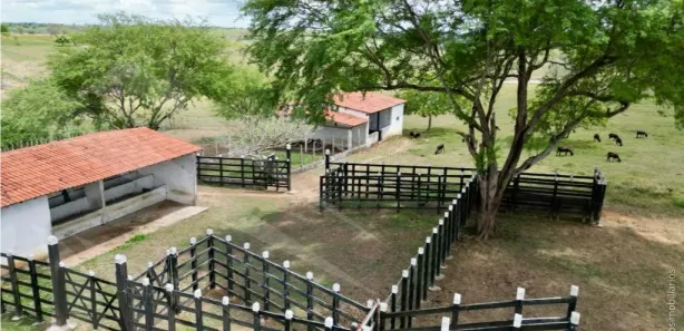 Fazenda / Sítio / Chácara à venda, 150000m² no , Feira Nova