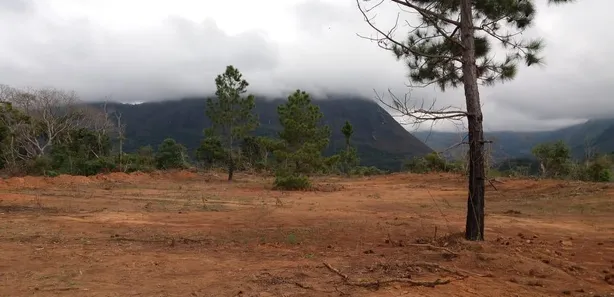 Fazenda / Sítio / Chácara com 3 Quartos à venda, 450m² no Parque Dom João VI, Nova Friburgo