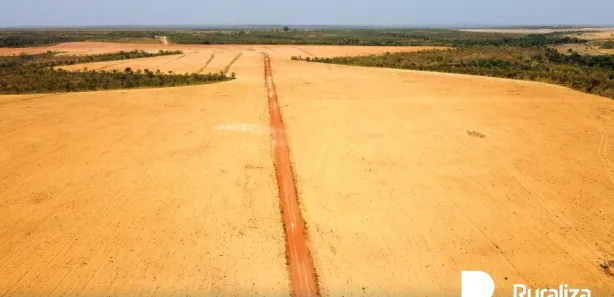 Fazenda / Sítio / Chácara à venda, 1703m² no , Ponte Alta do Tocantins
