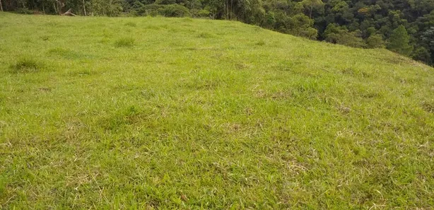 Fazenda / Sítio / Chácara à venda, 24000m² no Visconde de Mauá, Resende