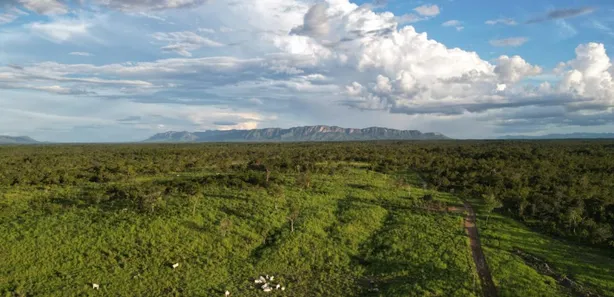 Fazenda / Sítio / Chácara com 4 Quartos à venda, 4065600m² no , Paranã