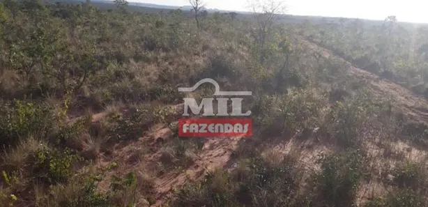 Fazenda / Sítio / Chácara à venda, 13000m² no , Ponte Alta do Tocantins