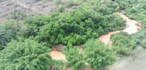 Fazenda / Sítio / Chácara com 4 Quartos à venda, 70000m² no Mansões de Recreio Estrela Dalva VII-A, Novo Gama