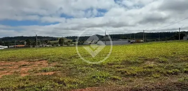 Terreno / Lote / Condomínio à venda, 400m² no Condomínio Veneza, Goiânia