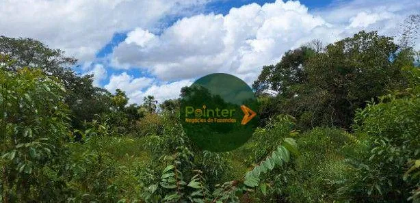 Fazenda / Sítio / Chácara à venda, 4900500m² no , Ponte Alta do Tocantins