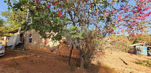 Fazenda / Sítio / Chácara com 3 Quartos à venda, 242000m² no , Padre Bernardo