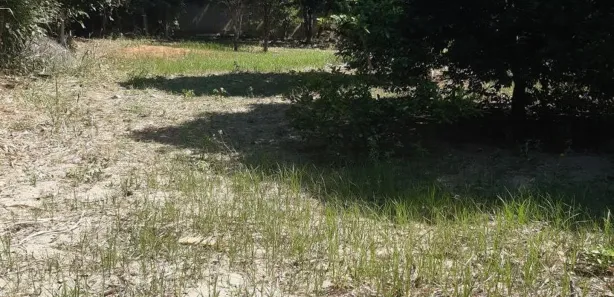 Terreno / Lote / Condomínio à venda, 735m² no Porto da Roça I, Saquarema