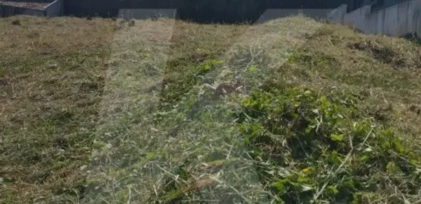 Terreno / Lote / Condomínio à venda, 1000m² no Vila Mazzei, São Paulo
