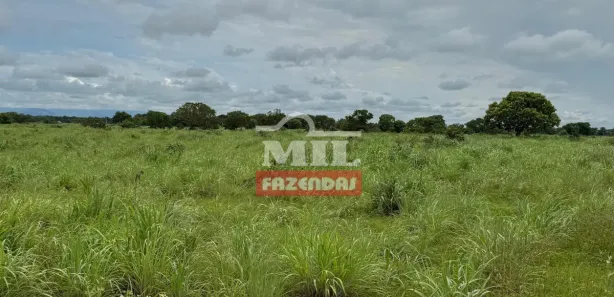 Fazenda / Sítio / Chácara à venda, 500m² no Centro, Formosa