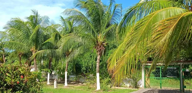 Terreno / Lote / Condomínio à venda, 150m² no Loteamento Bosque Ponta da Areia, Itaparica