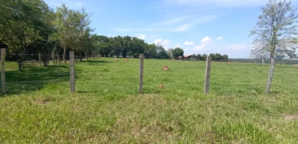 Fazenda / Sítio / Chácara com 3 Quartos à venda, 48400m² no Centro, Laranjal Paulista
