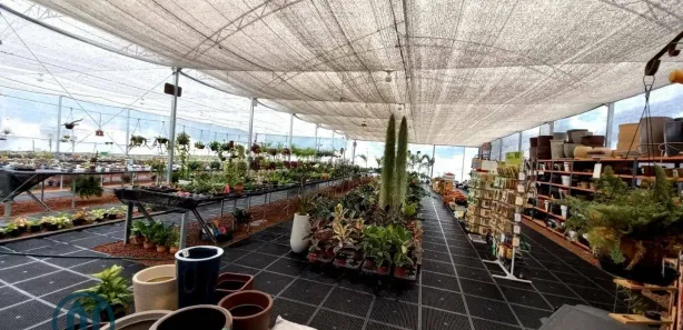 Galpão / Depósito / Armazém para alugar, 731m² no Várzea, Teresópolis