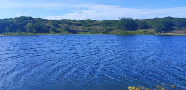 Fazenda / Sítio / Chácara com 4 Quartos à venda, 720000m² no , Brejinho