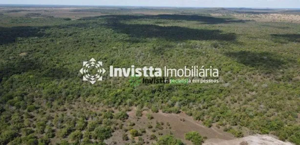 Fazenda / Sítio / Chácara à venda, 1250m² no Centro, Lagoa da Confusão