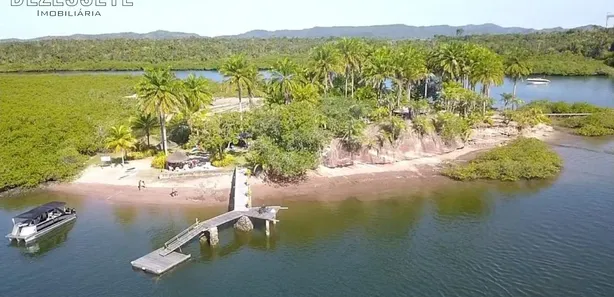 Fazenda / Sítio / Chácara com 4 Quartos à venda, 900m² no , Saubara
