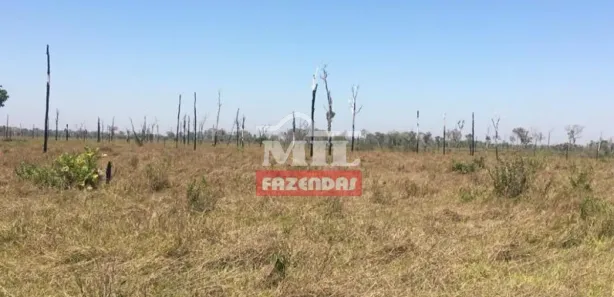 Fazenda / Sítio / Chácara à venda, 7260000m² no , Lagoa da Confusão