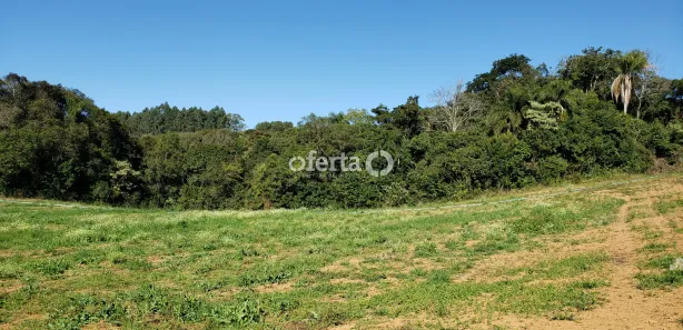 Fazenda / Sítio / Chácara à venda, 22385m² no Porto das Laranjeiras, Araucária