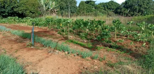 Fazenda / Sítio / Chácara com 3 Quartos à venda, 50000m² no Brazlândia, Brasília