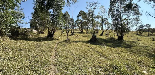 Terreno / Lote / Condomínio à venda, 33904m² no , Mairinque