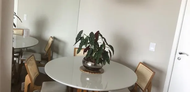 Apartamento com 2 Quartos à venda, 50m² no Vila Santa Catarina, São Paulo