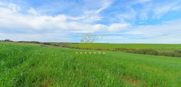 Fazenda / Sítio / Chácara com 4 Quartos à venda, 3146000m² no Colônia Dona Luíza, Ponta Grossa