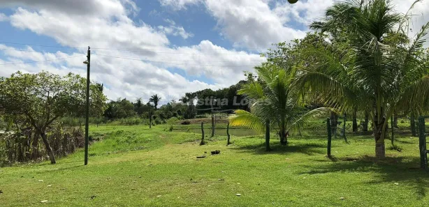 Fazenda / Sítio / Chácara com 2 Quartos à venda, 10m² no Zona Rural, Nazária