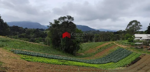 Fazenda / Sítio / Chácara com 4 Quartos à venda, 20000m² no Centro, Tijucas do Sul