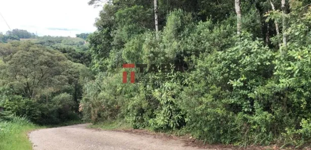 Fazenda / Sítio / Chácara à venda, 7100m² no Botiatuba, Almirante Tamandaré