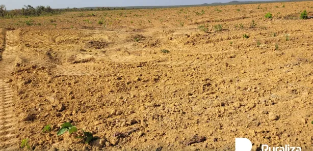 Fazenda / Sítio / Chácara à venda, 1703m² no , Ponte Alta do Tocantins