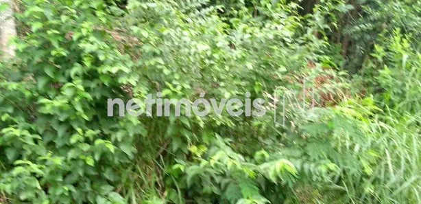 Terreno / Lote Comercial à venda, 1000m² no , Capim Branco