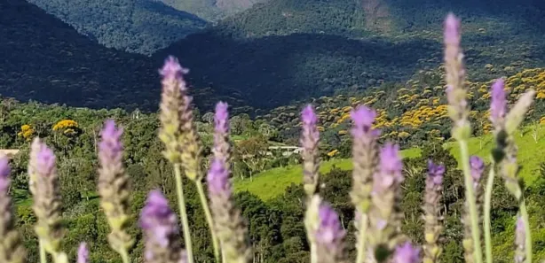 Fazenda / Sítio / Chácara à venda, 26000m² no Engenheiro Passos, Resende