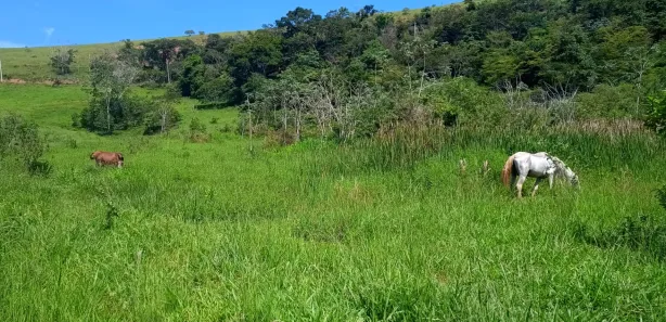 Terreno / Lote / Condomínio à venda, 210000m² no , Areal