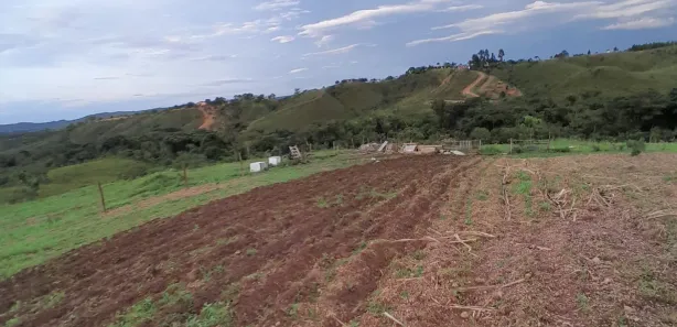 Fazenda / Sítio / Chácara com 3 Quartos à venda, 14000m² no , Brasília