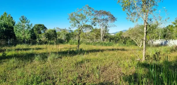 Fazenda / Sítio / Chácara à venda, 2326m² no Chacaras Olhos D Agua, Campina Grande do Sul