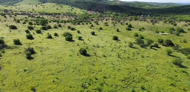 Fazenda / Sítio / Chácara à venda, 2180000m² no Área Rural de Gravatá, Gravatá