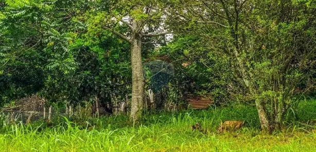 Fazenda / Sítio / Chácara com 2 Quartos à venda, 419m² no Campo Grande, Rio de Janeiro