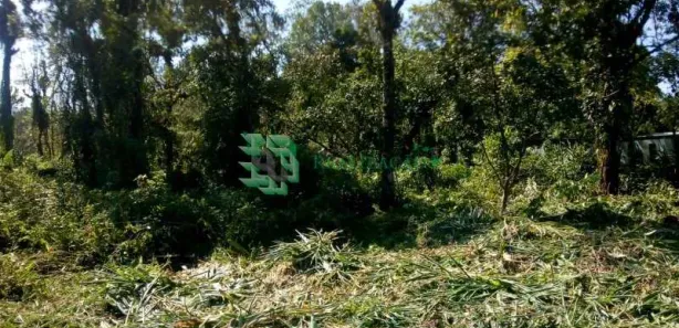 Fazenda / Sítio / Chácara à venda, 1400m² no , Mongaguá