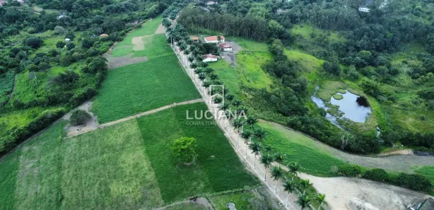 Fazenda / Sítio / Chácara com 3 Quartos à venda, 350000m² no , Chã Grande
