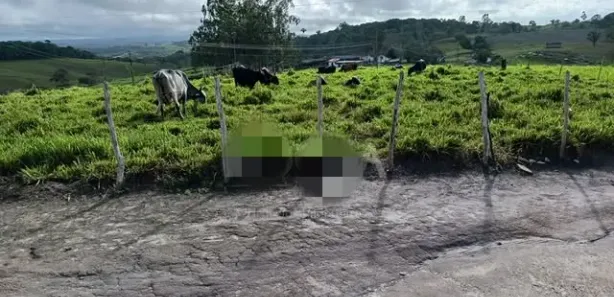 Fazenda / Sítio / Chácara com 5 Quartos à venda, 650000m² no Pau Ferro, Quipapá