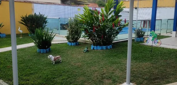 Fazenda / Sítio / Chácara com 3 Quartos à venda, 200m² no Centro (Vargem Alegre), Barra do Piraí